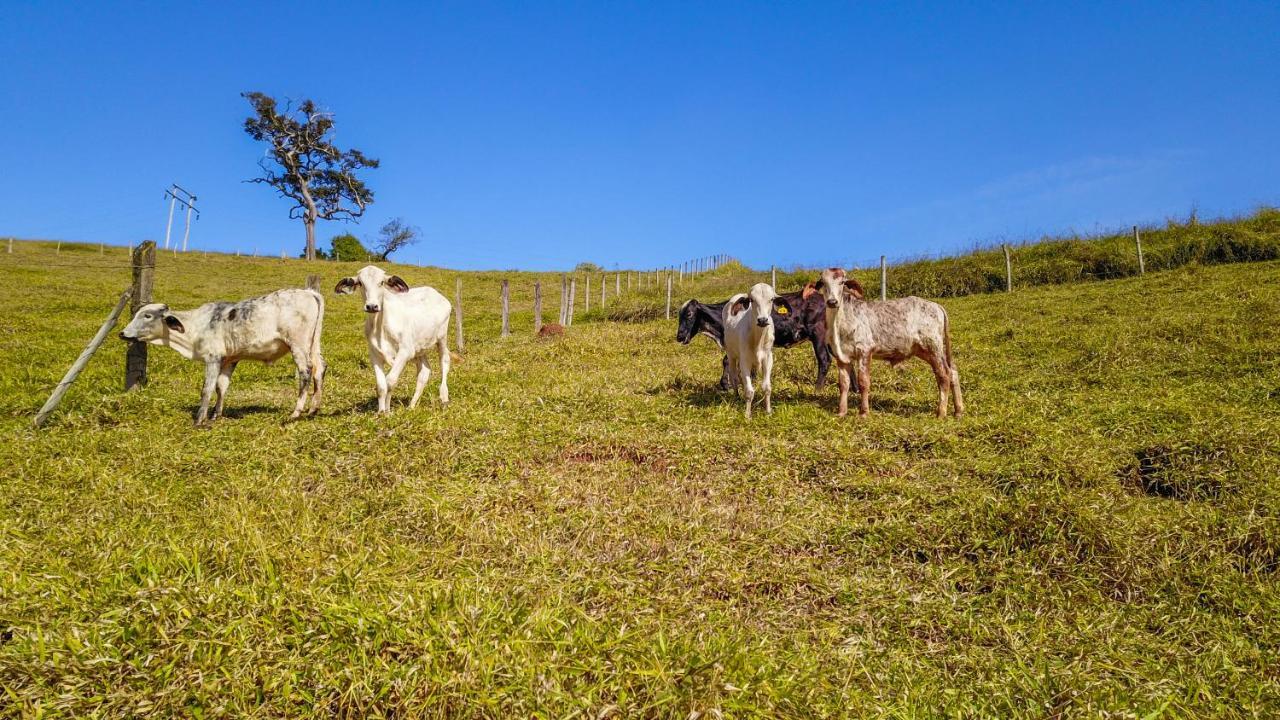 Pousada Sonho Meu Itanhandu Esterno foto