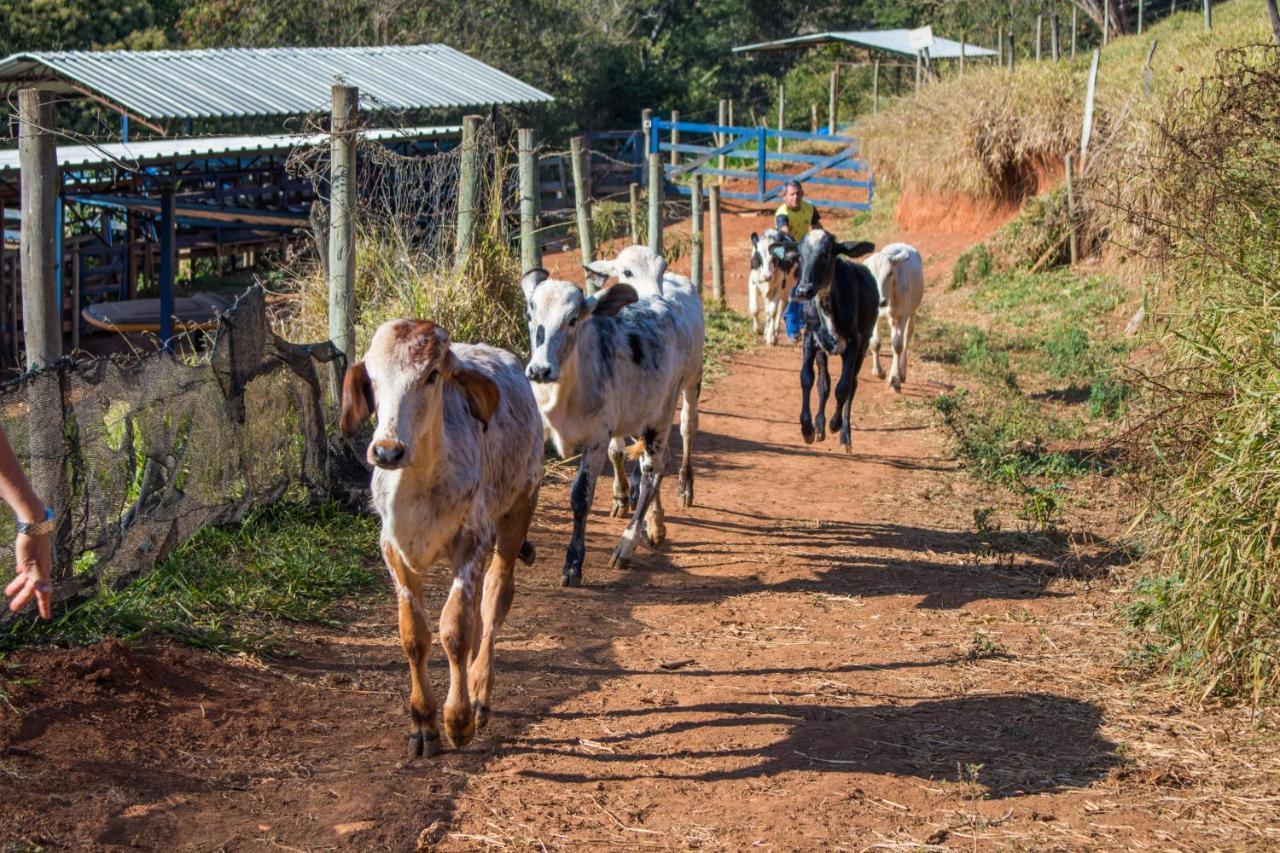 Pousada Sonho Meu Itanhandu Esterno foto