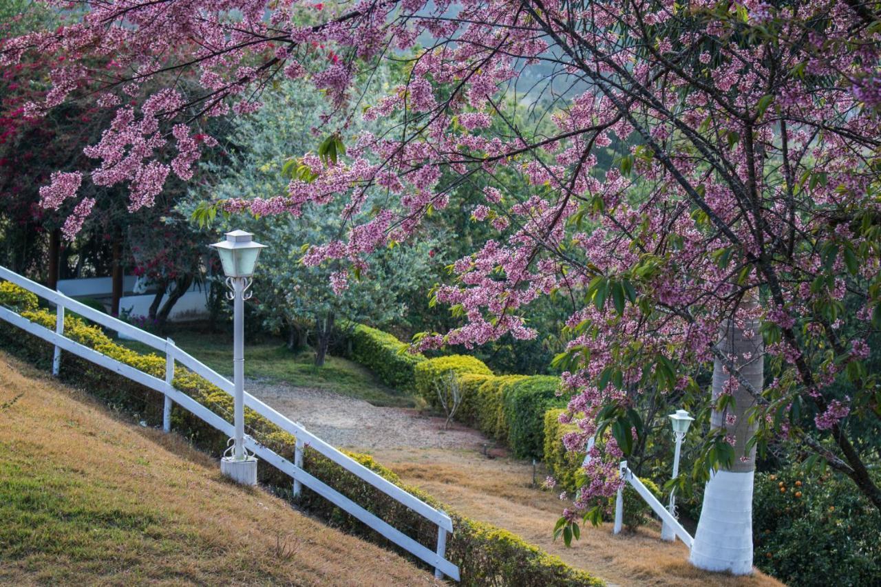 Pousada Sonho Meu Itanhandu Esterno foto