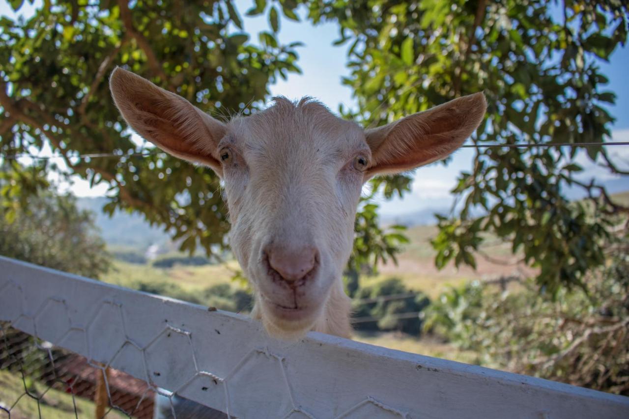 Pousada Sonho Meu Itanhandu Esterno foto