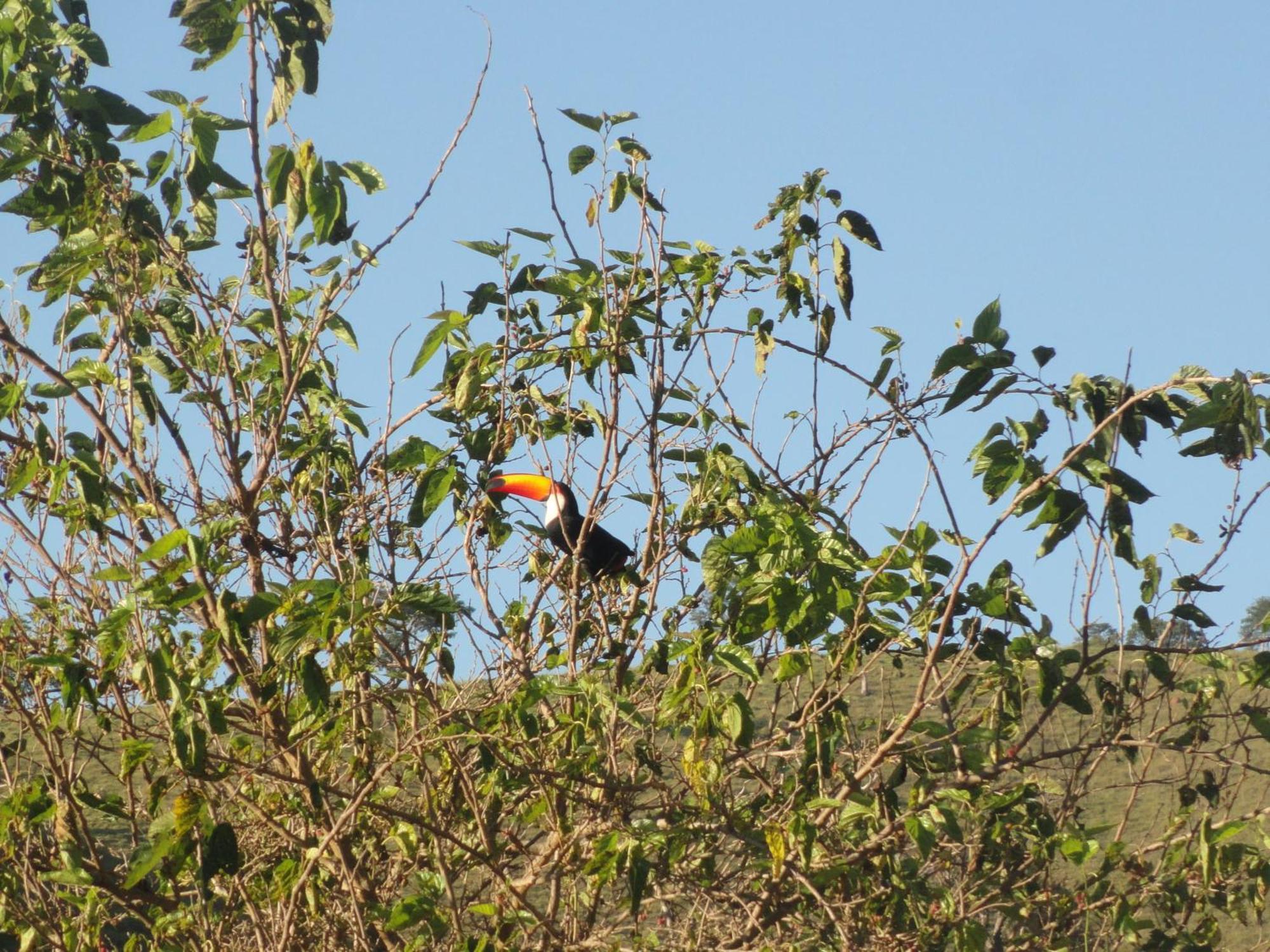 Pousada Sonho Meu Itanhandu Esterno foto